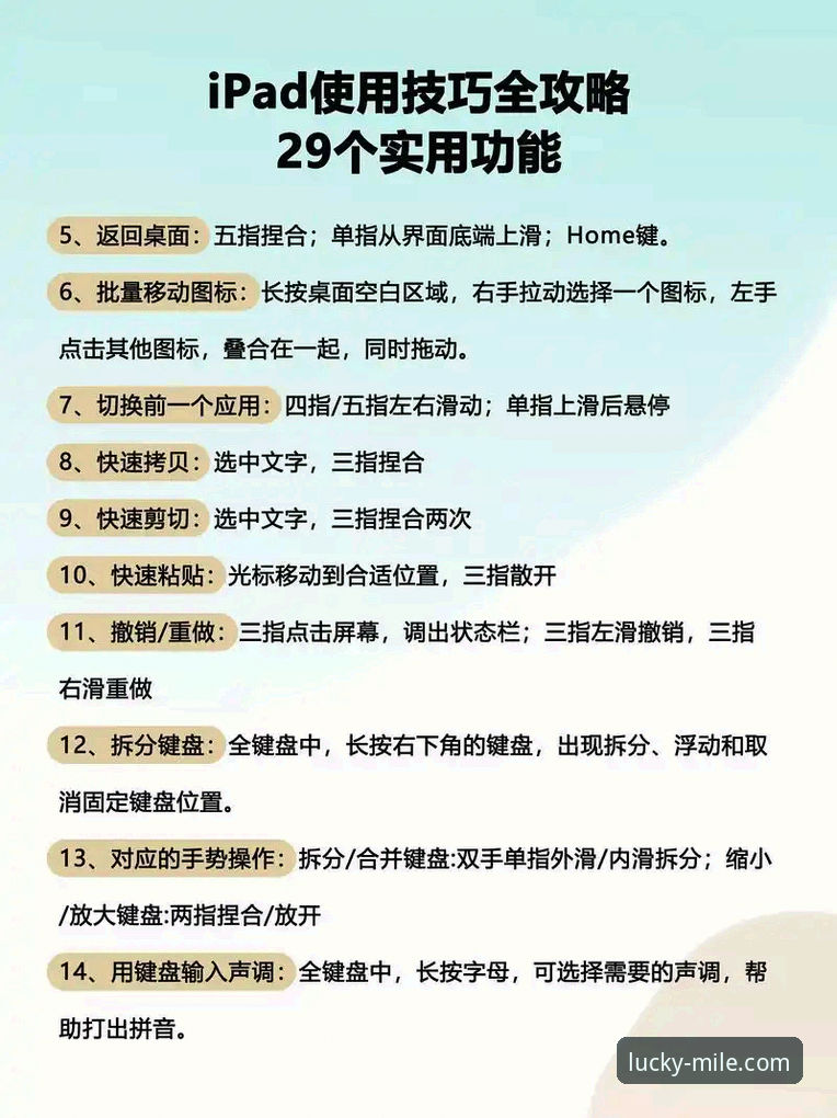 米乐使用教程最新版 米乐体育平台使用教程最新版:从入门到精通的完整指南